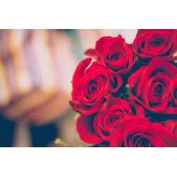 Single Stem Red Rose (FFTR1)