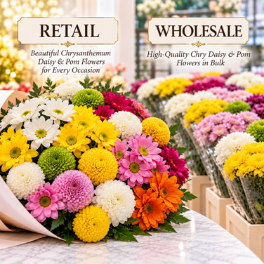 Funeral flowers | Daisy flowers