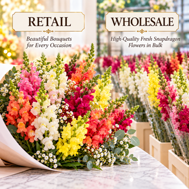 Funeral flowers | Snapdragon flowers
